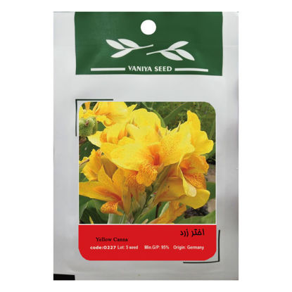 تصویر  بذر اختر زرد