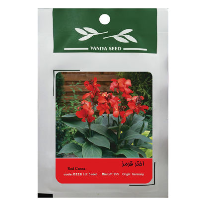 تصویر  بذر اختر قرمز