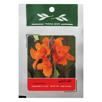 تصویر  بذر اختر نارنجی