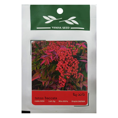 تصویر  بذر ناندینا