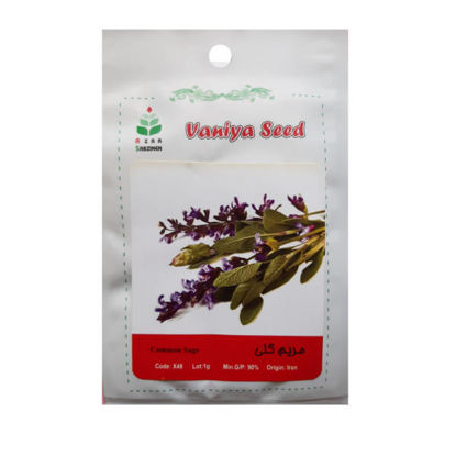 تصویر  بذر مریم گلی