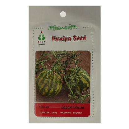 تصویر  بذر هندوانه ابوجهل