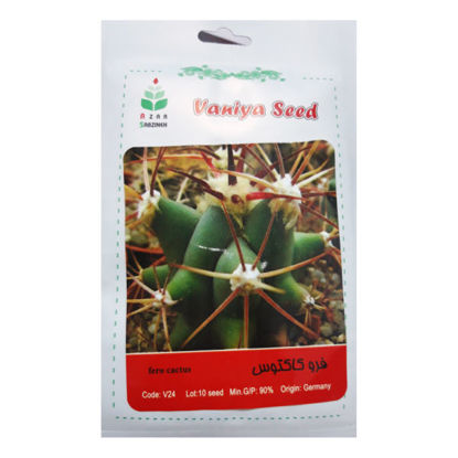 تصویر  بذر فرو کاکتوس