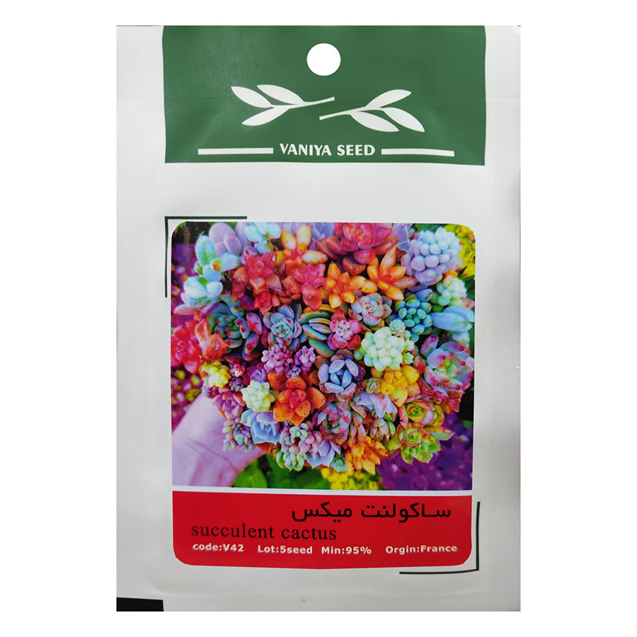 تصویر  بذر ساکولنت میکس