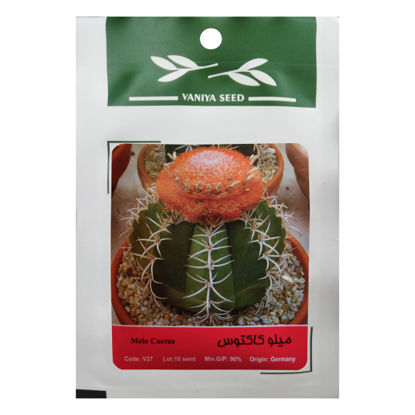تصویر  بذر میلو کاکتوس