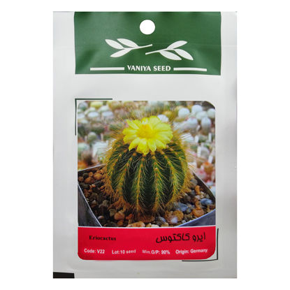 تصویر  بذر ایرو کاکتوس