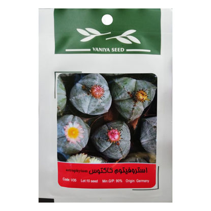 تصویر  بذر استروفیتوم کاکتوس