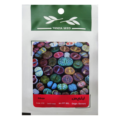 تصویر  بذر لیتوپس