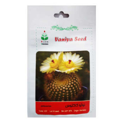 تصویر  بذر نوتو کاکتوس