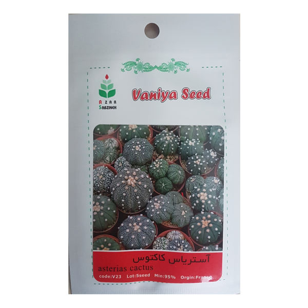 تصویر  بذر آستریاس کاکتوس