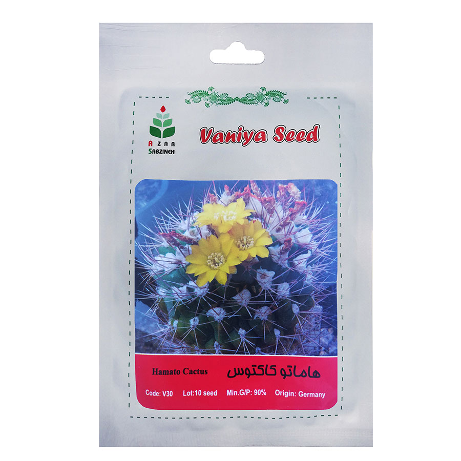 تصویر  بذر هاماتو کاکتوس