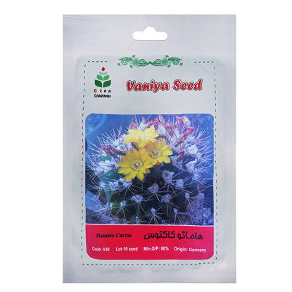 تصویر  بذر هاماتو کاکتوس