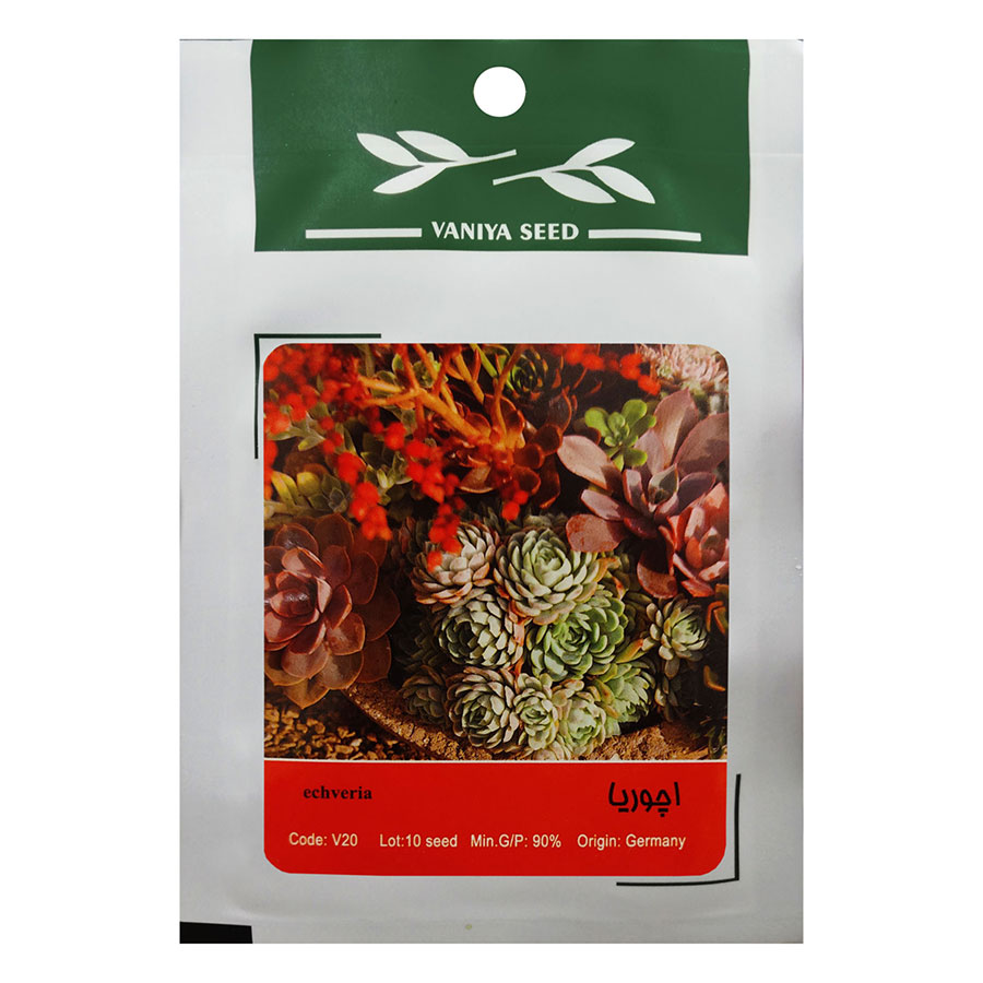 تصویر  بذر اچوریا