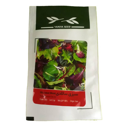 تصویر  بذر سبزی سالادی