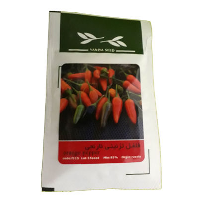 تصویر  بذر فلفل تزئینی نارنجی