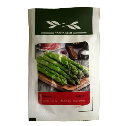 تصویر  بذر مارچوبه