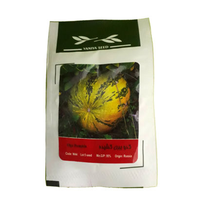 تصویر  بذر کدو ببری کشیده