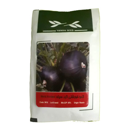 تصویر  بذر کدو خورشتی گرد سیاه