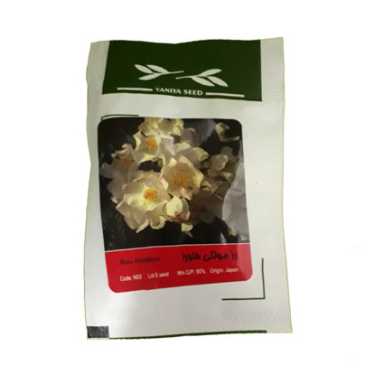 تصویر  بذر رز مولتی فلورا