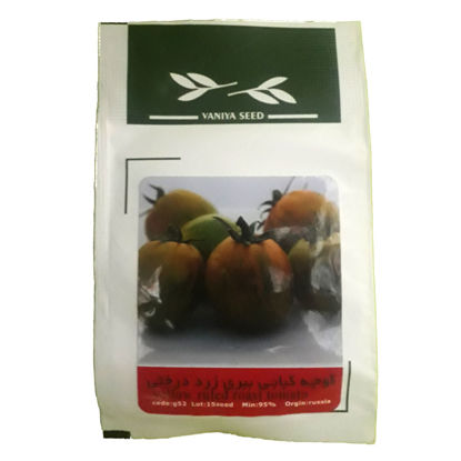 تصویر  بذر گوجه کبابی ببری زرد درختی