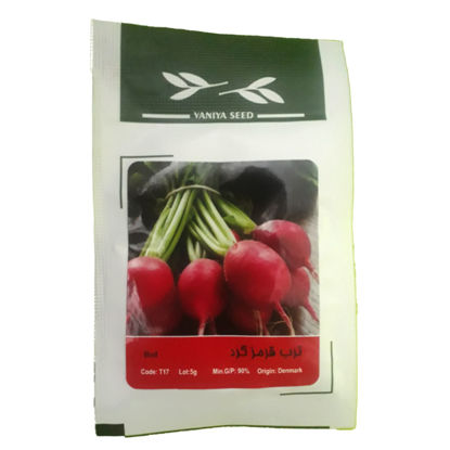 تصویر  بذر ترب قرمز گرد