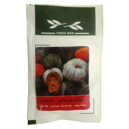 تصویر  بذر کدو تنبل گرد میکس