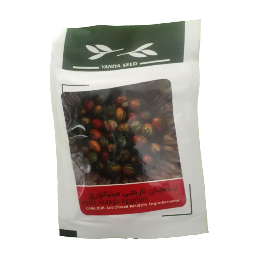 تصویر  بذر بادمجان نارنجی مینیاتوری