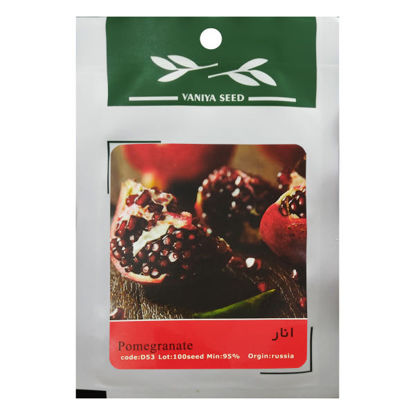 تصویر  بذر انار