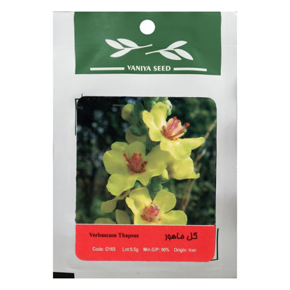 تصویر  بذر گل ماهور