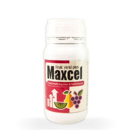 تصویر  میوه افزا