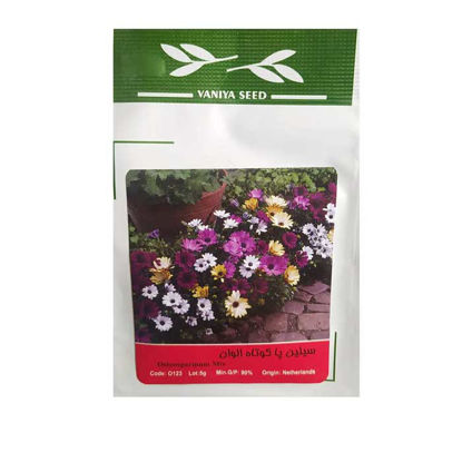 سیلین-پاکوتاه-الوان