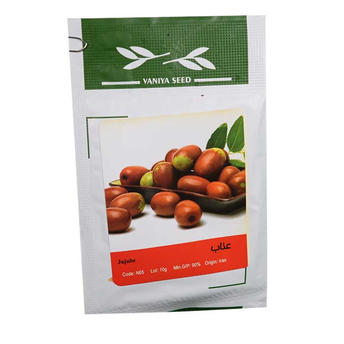 تصویر  بذر عناب