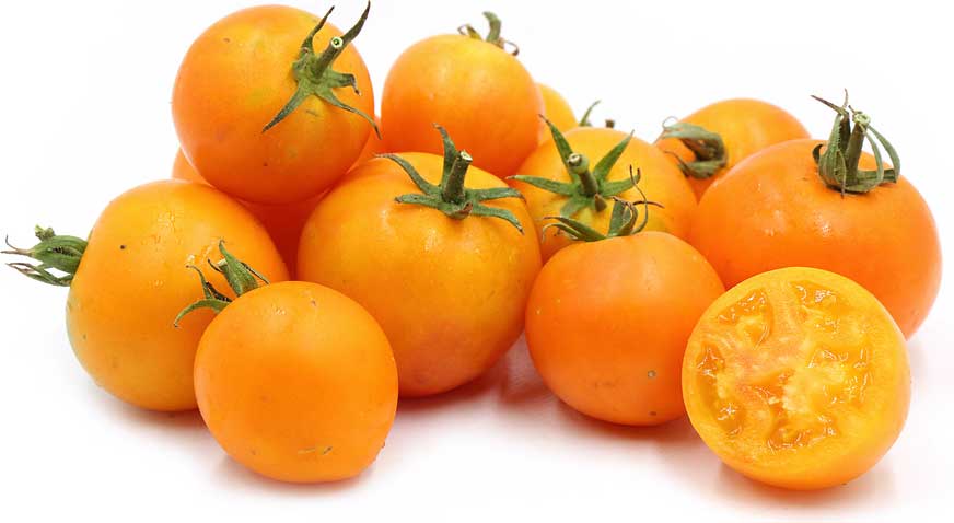 گوجه-فرنگی-نارنجی-بوته-ای
